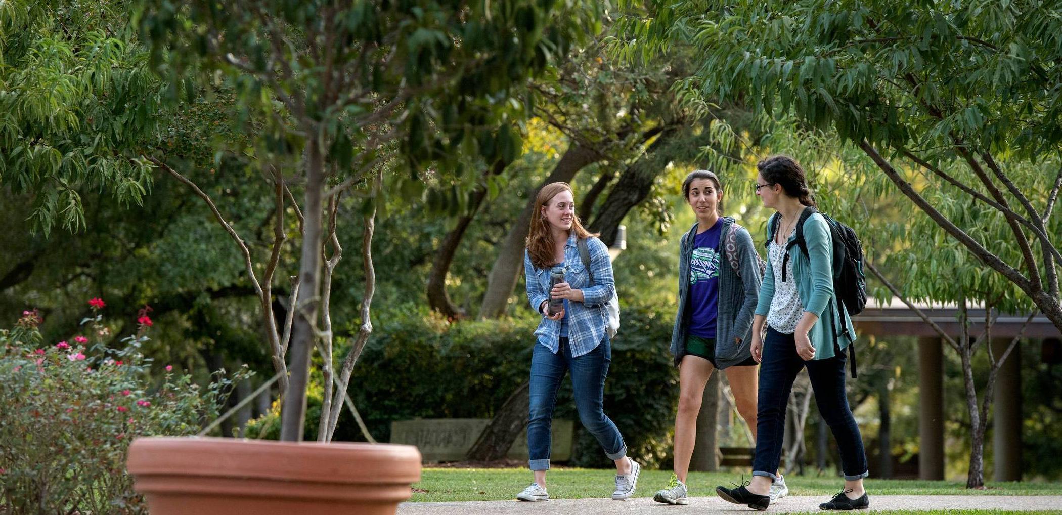 Students walking on UD campus